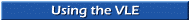 Using the VLE