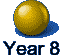 Year 8