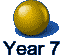 Year 7