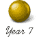 Year 7