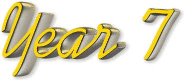 Year 7 