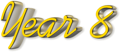Year 8