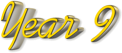 Year 9