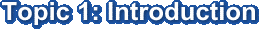 Topic 1: Introduction