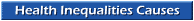 Health Inequalities Causes