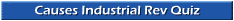 Causes Industrial Rev Quiz
