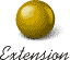 Extension