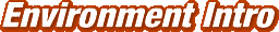 Environment Intro